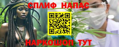 прущие грибы Моздок
